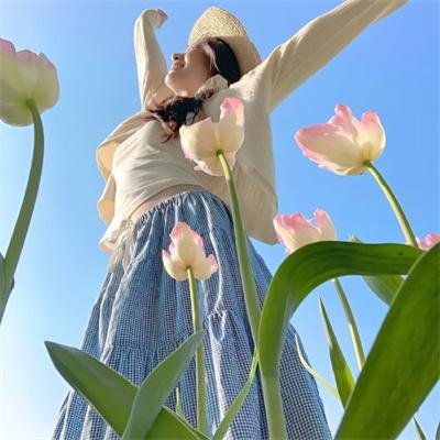 海染太阳红